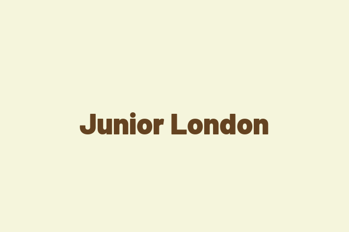 Junior London