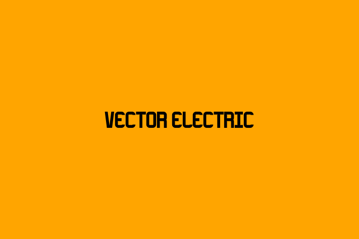 Vector Electric