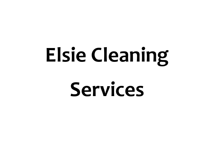 Elsie Cleaning Services