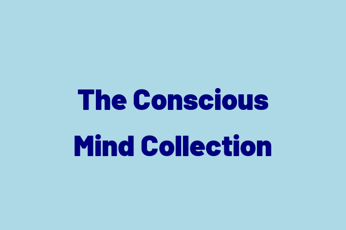 The Conscious Mind Collection