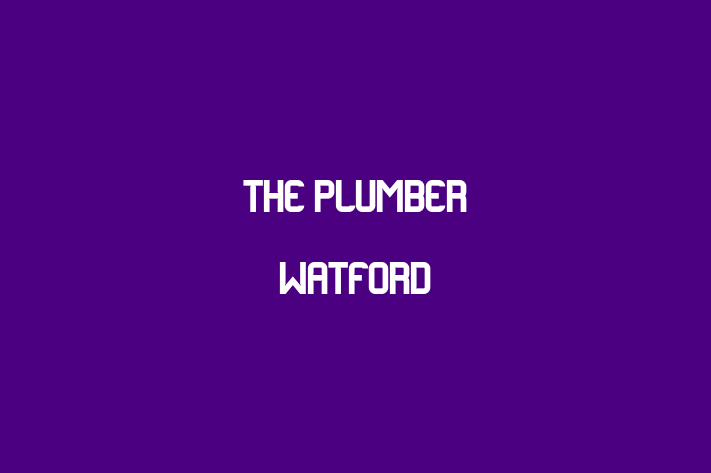 The Plumber Watford