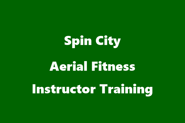 Spin City Aerial Fitness Instructor Training