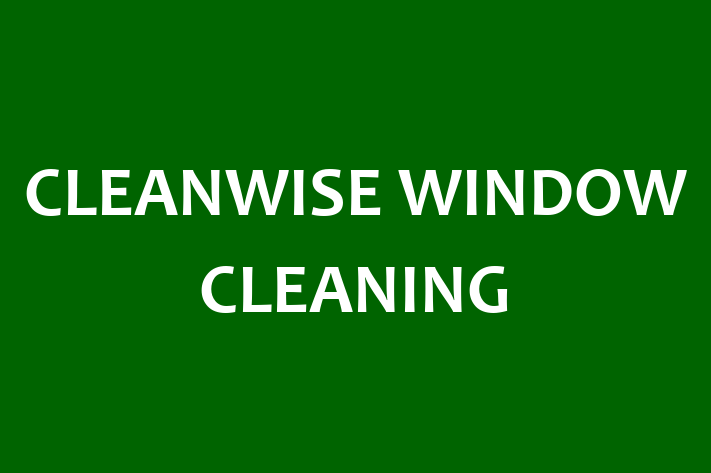 CLEANWISE WINDOW CLEANING