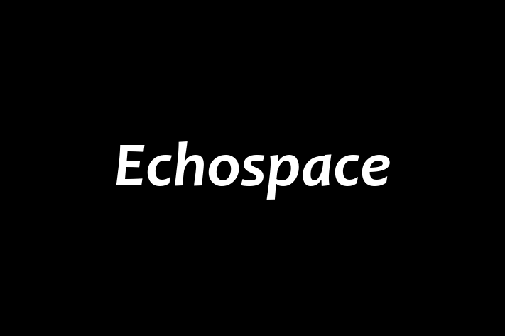 Echospace