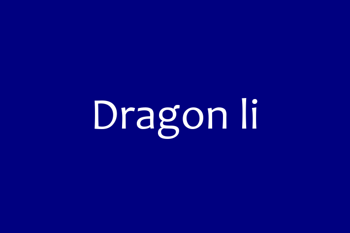 Dragon li Cat for Sale in Sutton in Ashfield