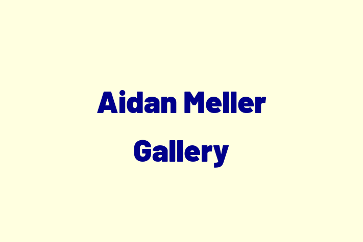 Aidan Meller Gallery