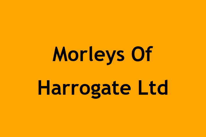 Morleys Of Harrogate Ltd