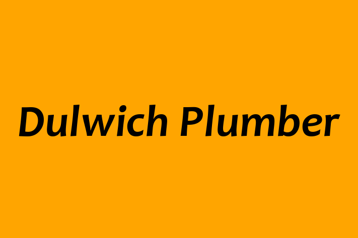 Dulwich Plumber