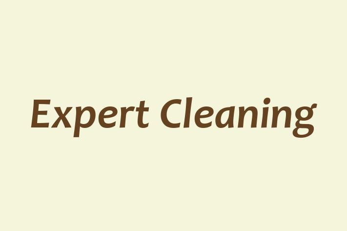 Expert Cleaning