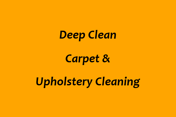 Deep Clean Carpet & Upholstery Cleaning