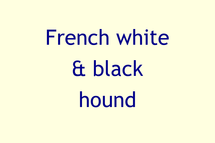 French white black hound Dog for Sale in Barking