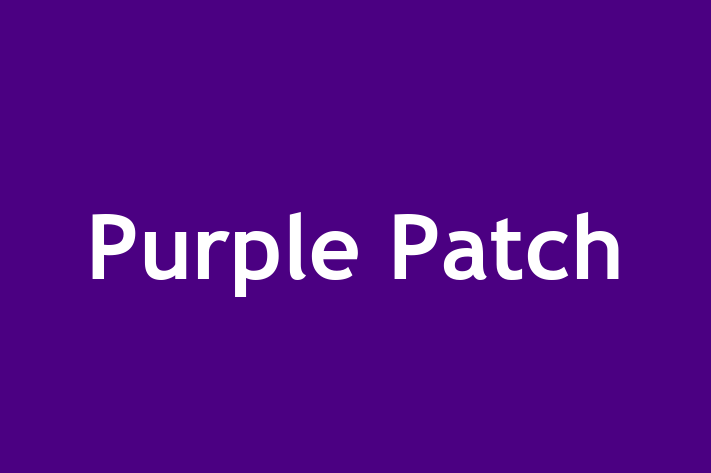 Purple Patch