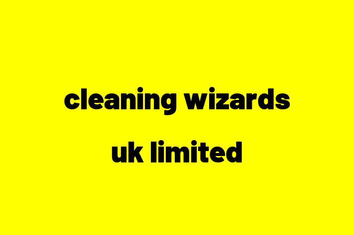 cleaning wizards uk limited