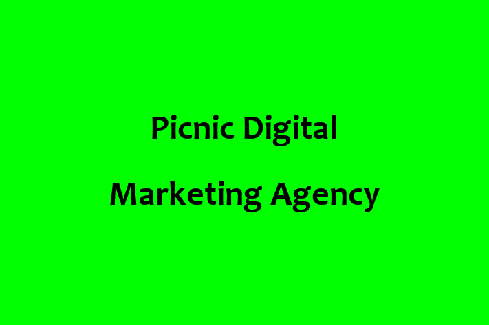 Picnic Digital Marketing Agency