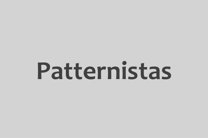 Patternistas