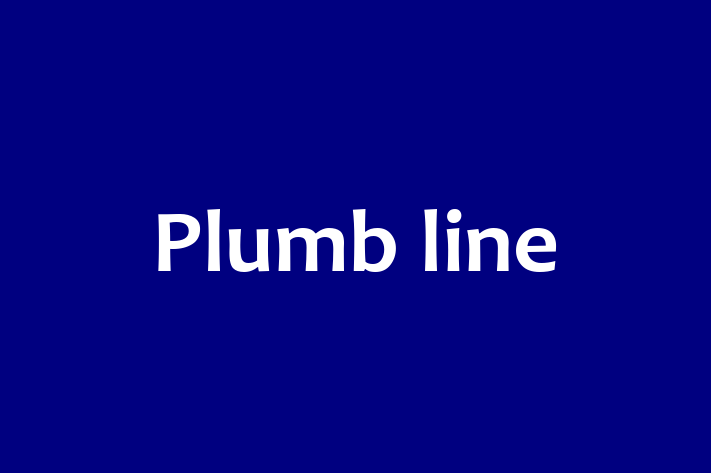 Plumb line