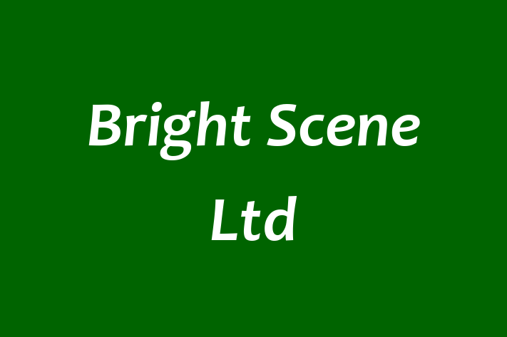 Bright Scene Ltd