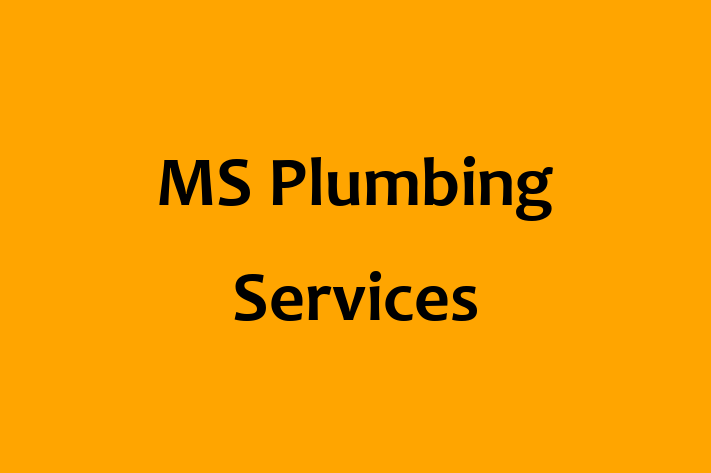 MS Plumbing Services