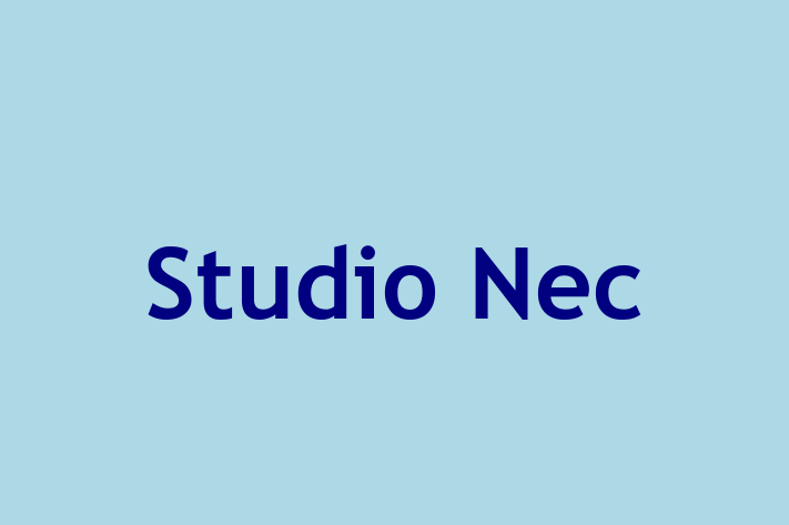 Studio Nec