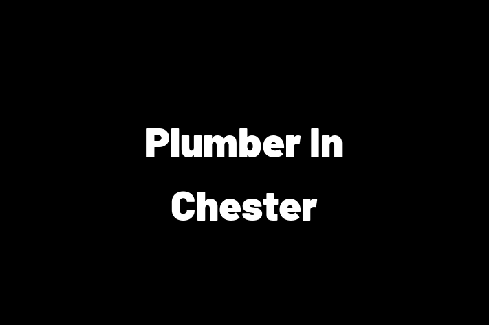 Plumber In Chester