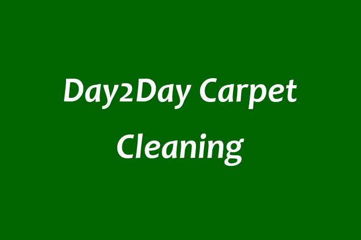 Day2Day Carpet Cleaning