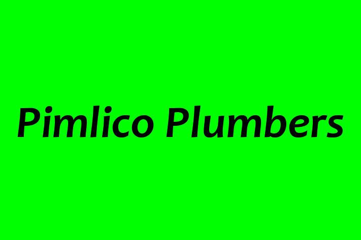 Pimlico Plumbers