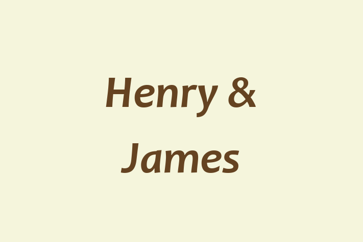 Henry & James