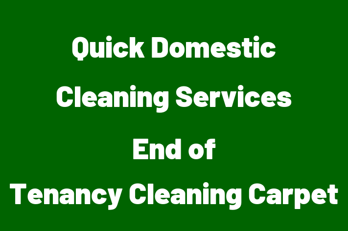 Quick Domestic Cleaning Services End of Tenancy Cleaning Carpet Cleaning London