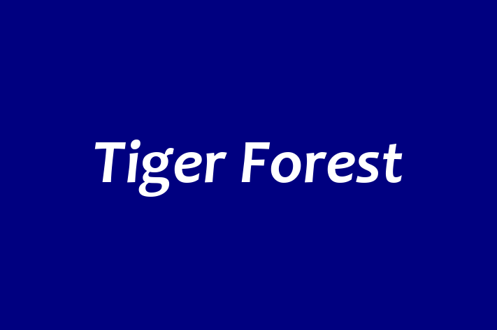 Tiger Forest