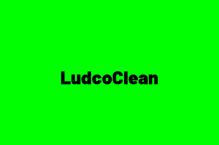 LudcoClean