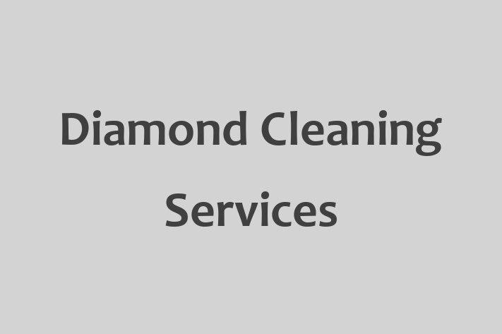 Diamond Cleaning Services