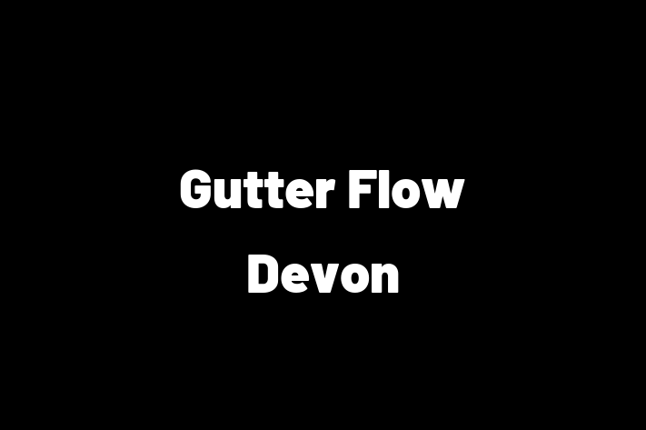 Gutter Flow Devon