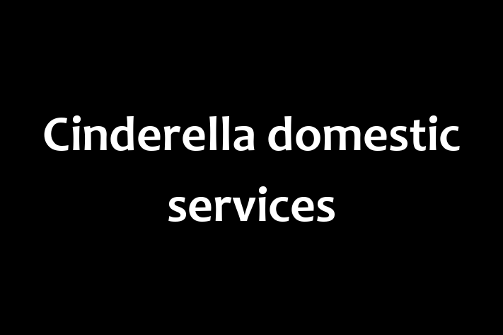 Cinderella domestic services