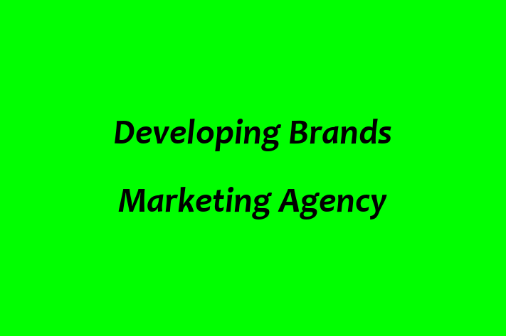 Developing Brands Marketing Agency