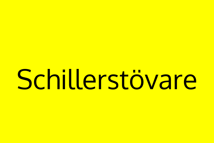 Schillerstvare for Sale in Walton