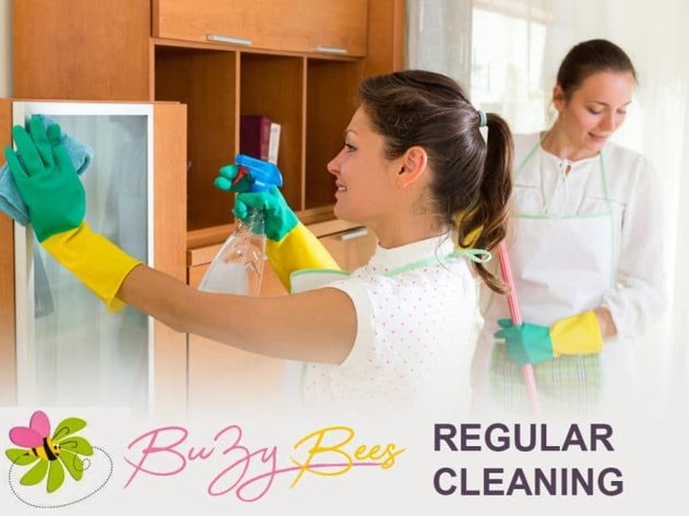 BuZy Bees Cleaning Services