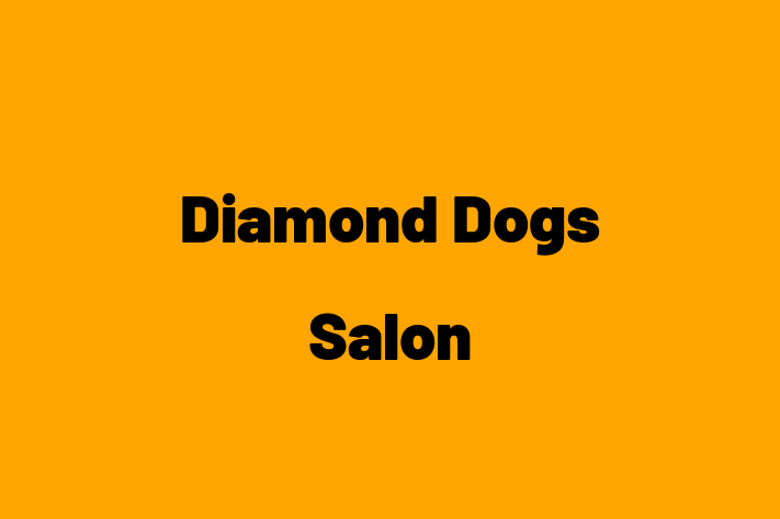 Diamond Dogs Salon