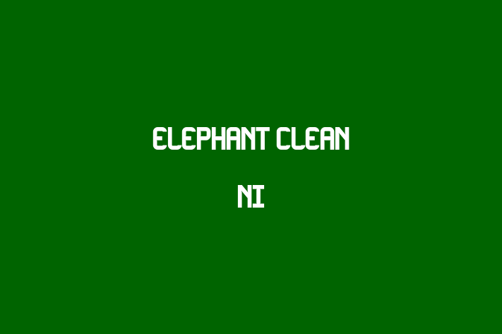 Elephant Clean Ni