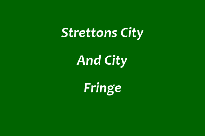 Strettons City And City Fringe