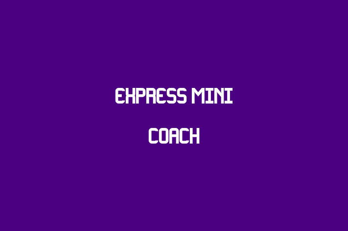 Express Mini Coach