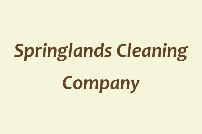 Springlands Cleaning Company