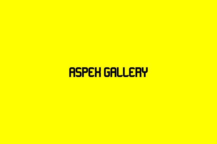 Aspex Gallery