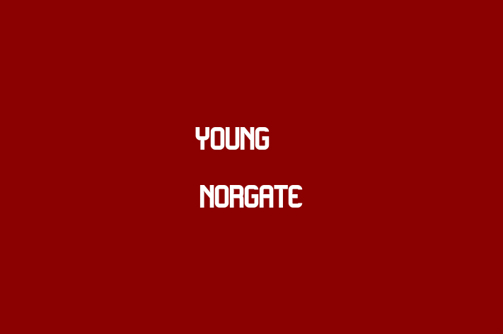 Young & Norgate