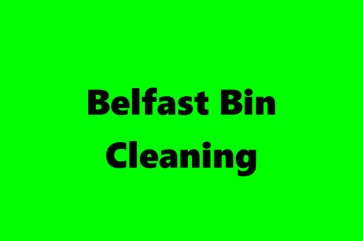 Belfast Bin Cleaning