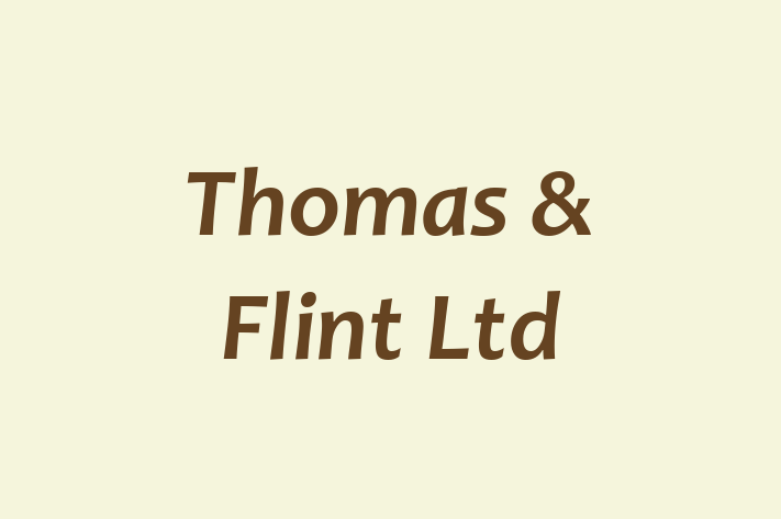 Thomas & Flint Ltd