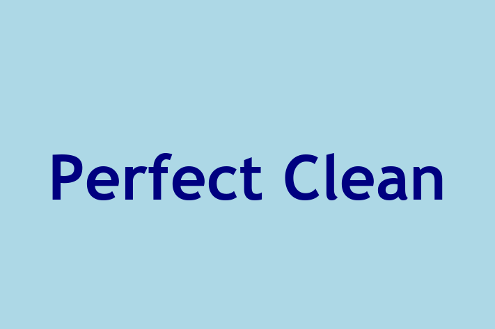 Perfect Clean