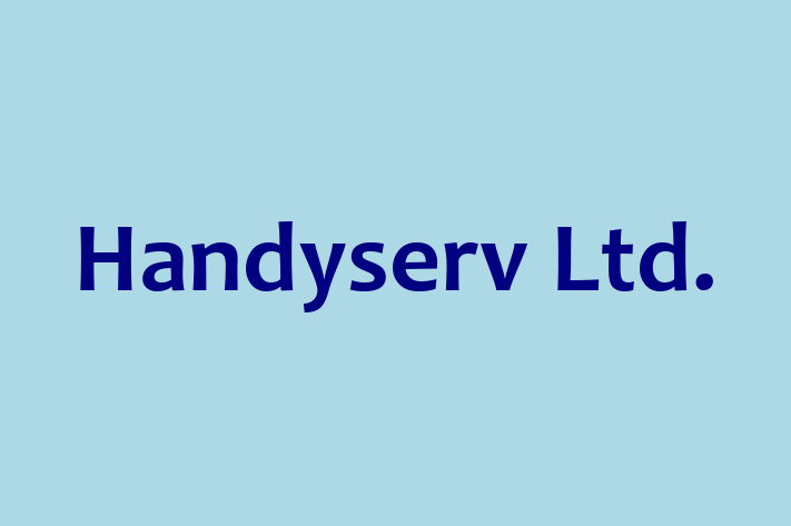 Handyserv Ltd 