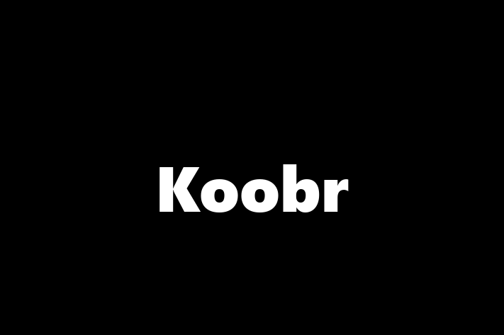 Koobr