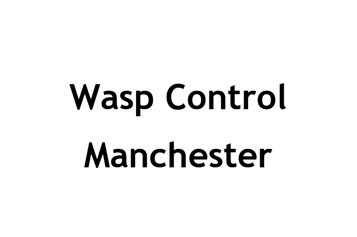 Wasp Control Manchester