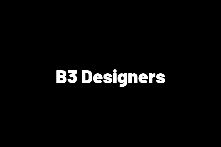 B3 Designers